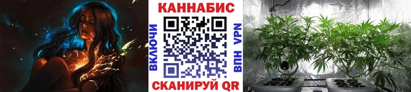 Продажа наркотиков Приволжский Конопля  СК  ГАШИШ 