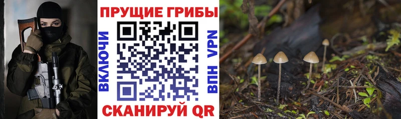 Псилоцибиновые грибы Magic Shrooms  Приволжский 